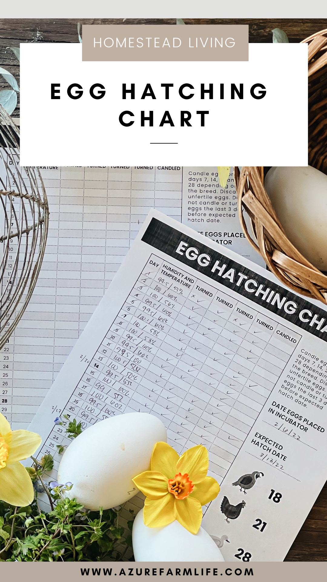 Free Egg Hatching Chart Helping You Keep Track Of Your Eggs