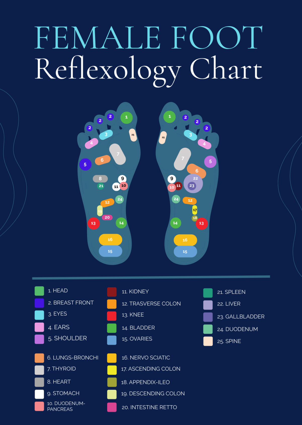 Free Female Foot Reflexology Chart Template To Edit Online