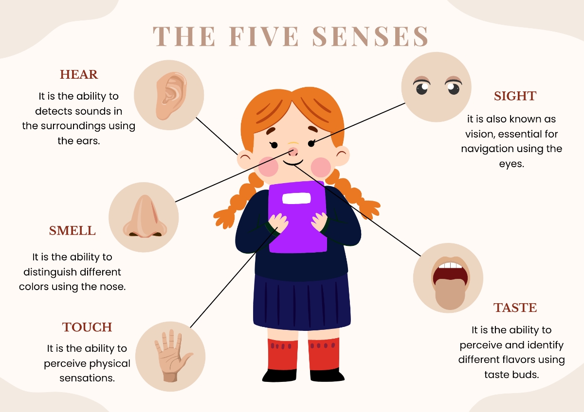 Free Five Senses Chart For Kindergarten Template To Edit Online