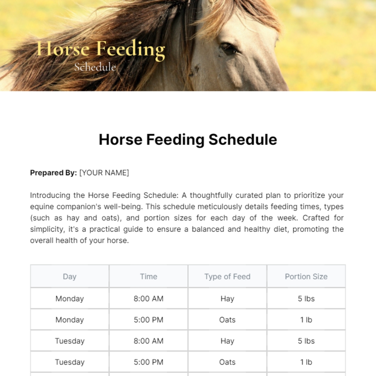 Free Horse Feeding Schedule Template To Edit Online