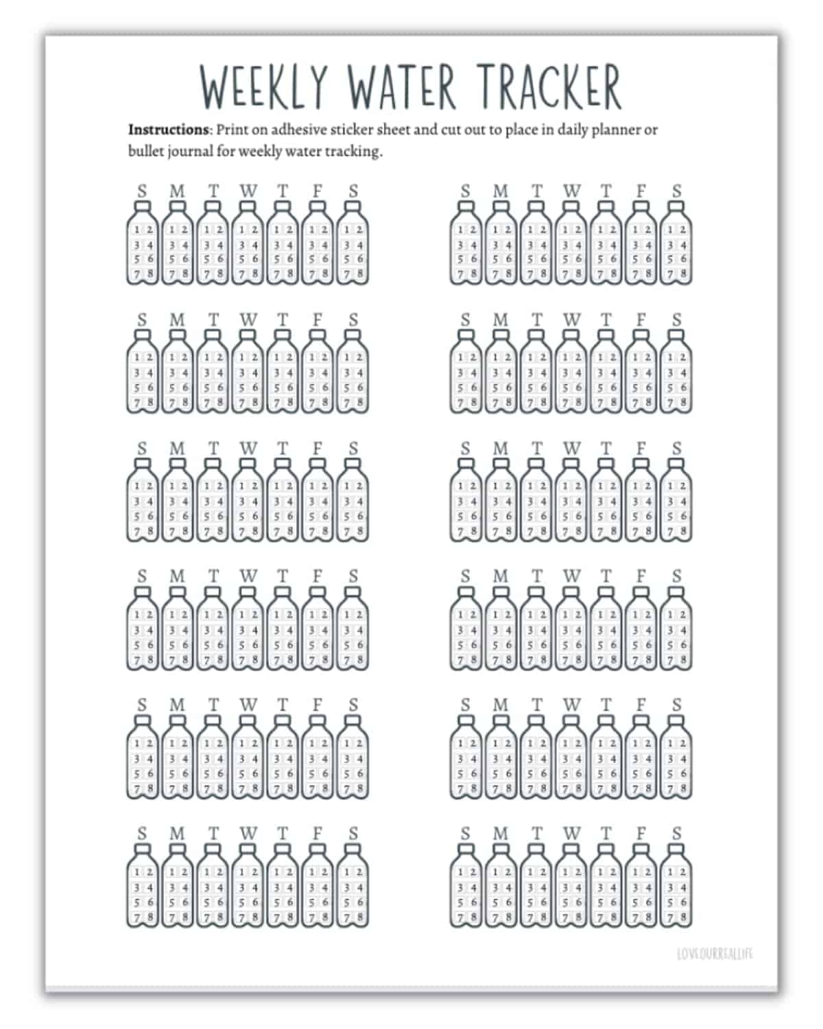 Printable Daily Water Intake Chart