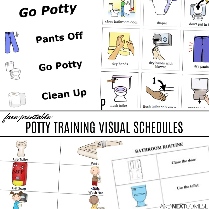 Free Potty Training Visual Schedules And Next Comes L Hyperlexia Resources Free Potty Training Visual Schedules And Next Comes L Hyperlexia Resources