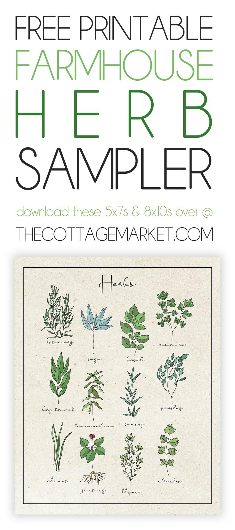Free Printable Herb Chart