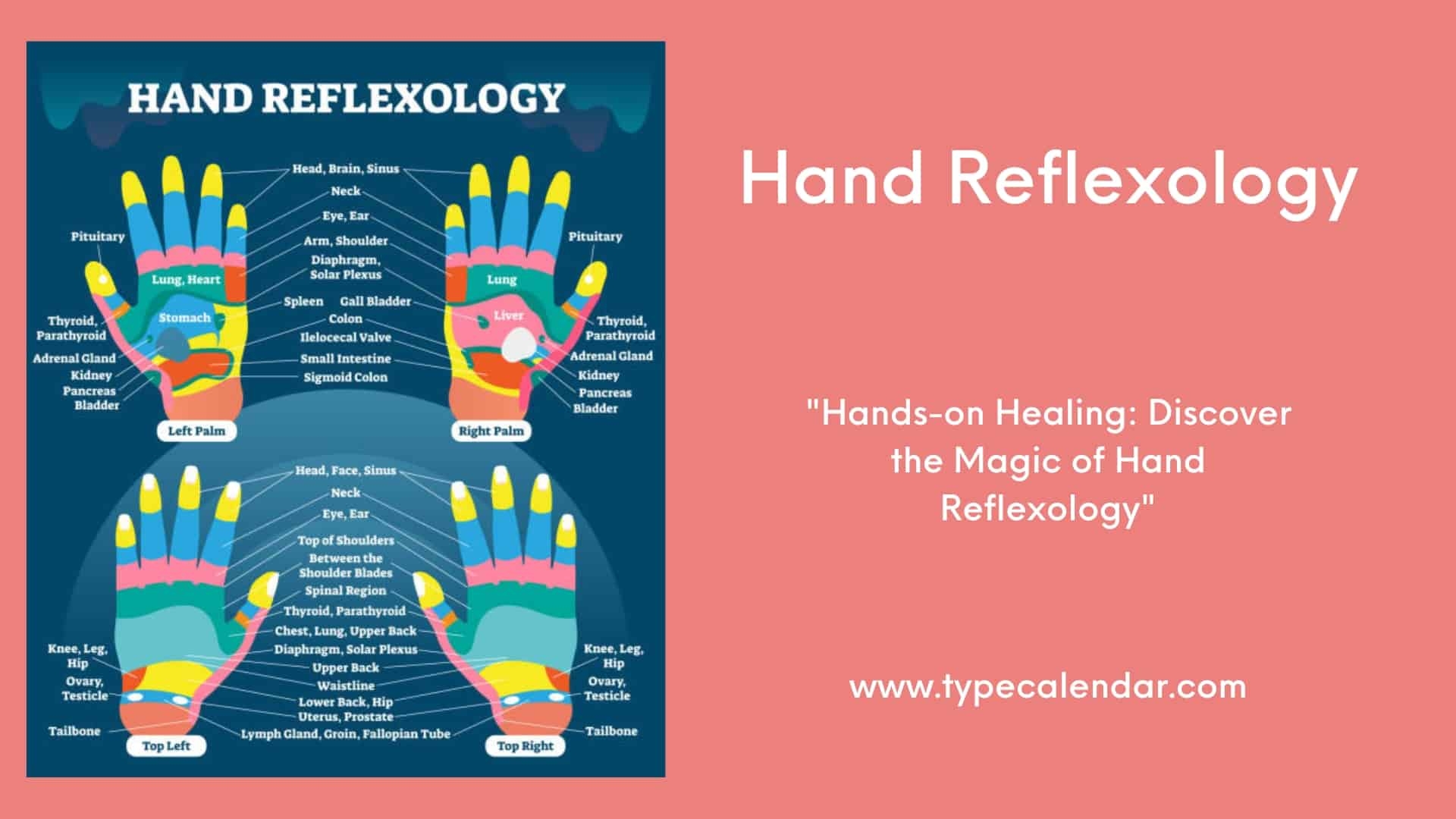 High Resolution Printable Hand Reflexology Chart