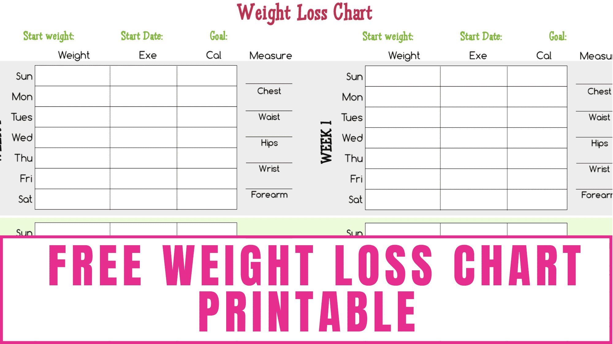 Charts For Weight Loss Free Printable