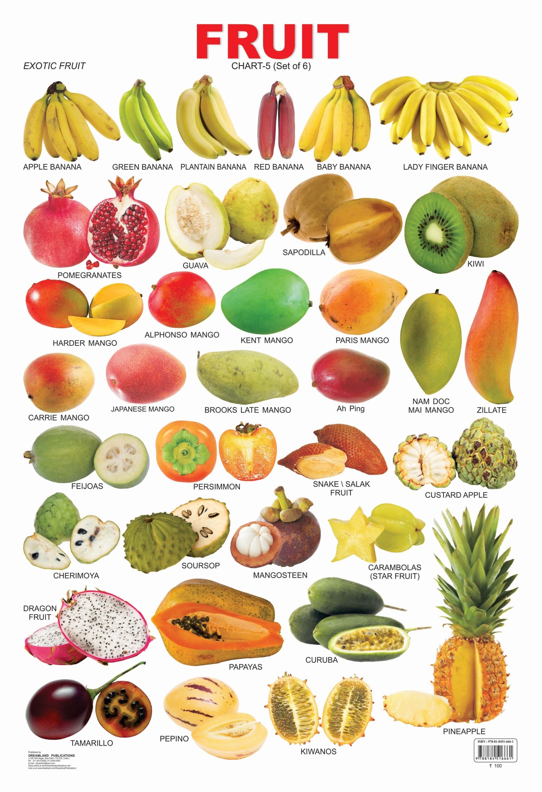 Fruit Chart 5