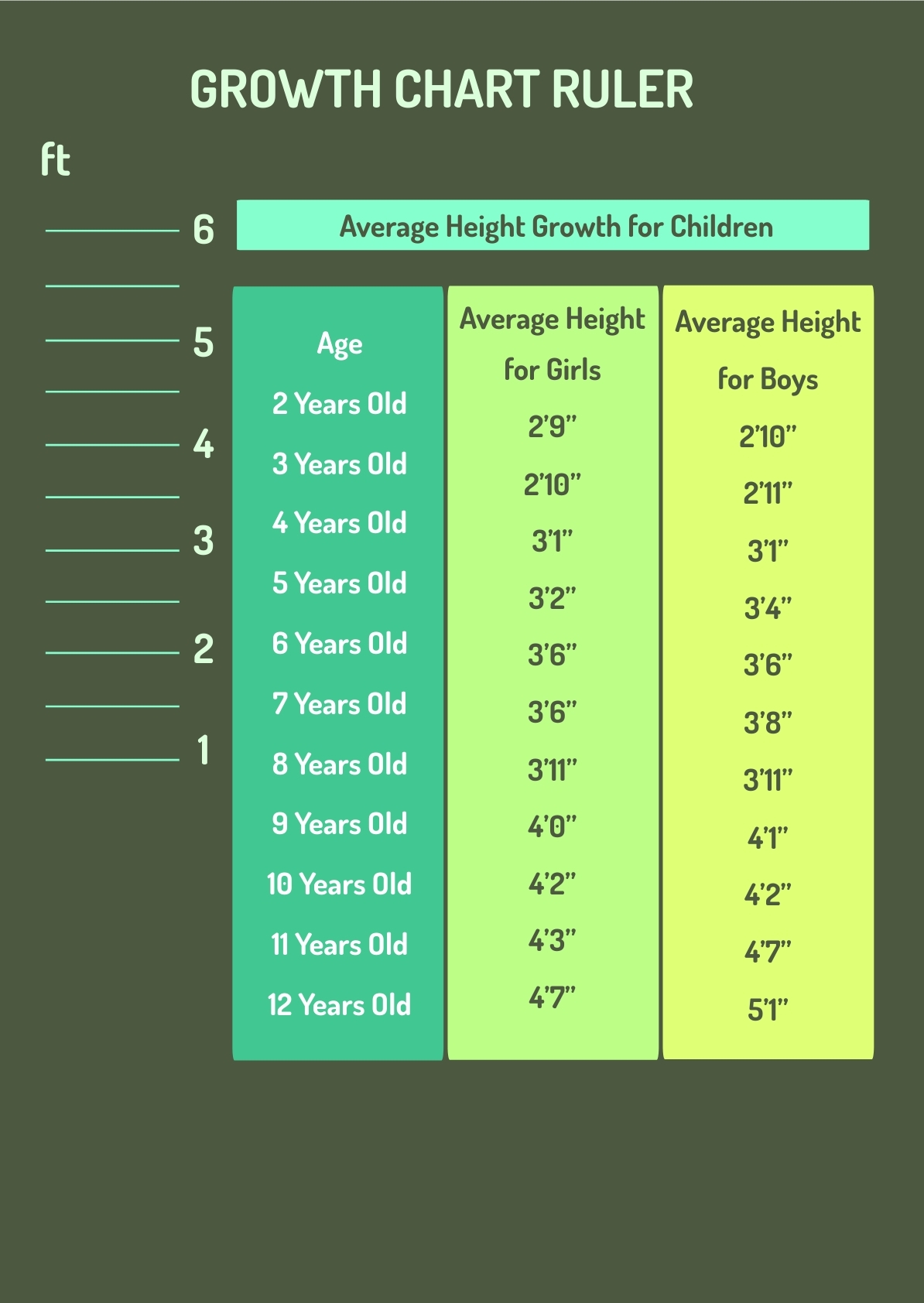 Growth Chart Ruler In PDF Illustrator Download Template