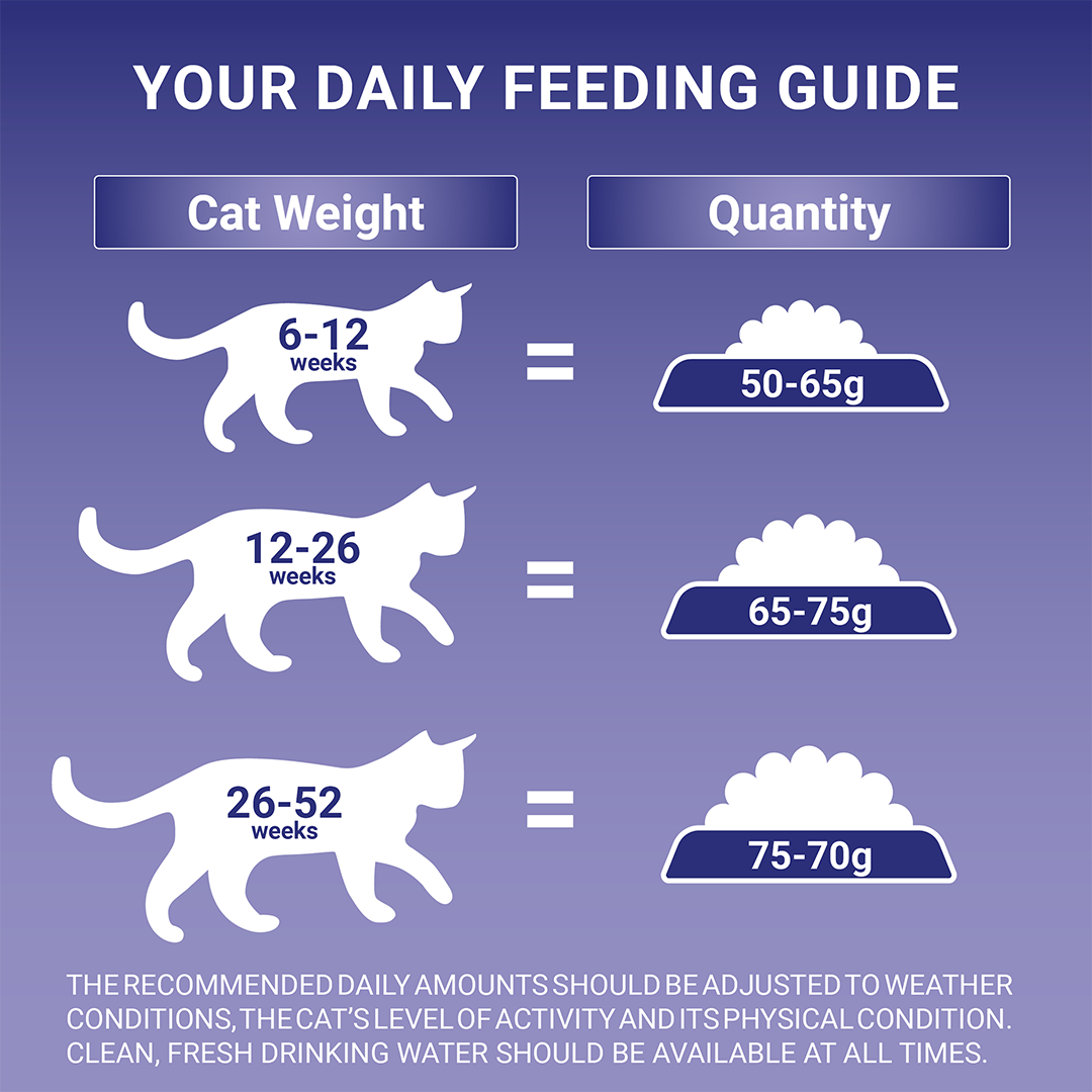 Printable Kitten Weight Chart