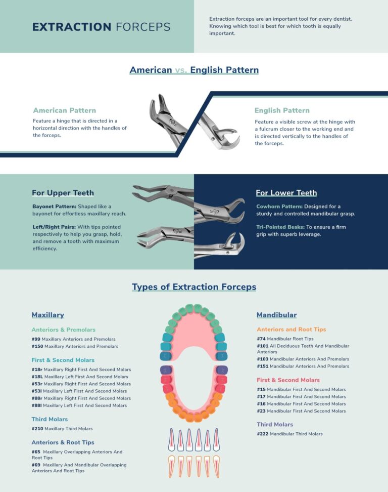 Guide To Dental Extraction Forceps ProDentUSA