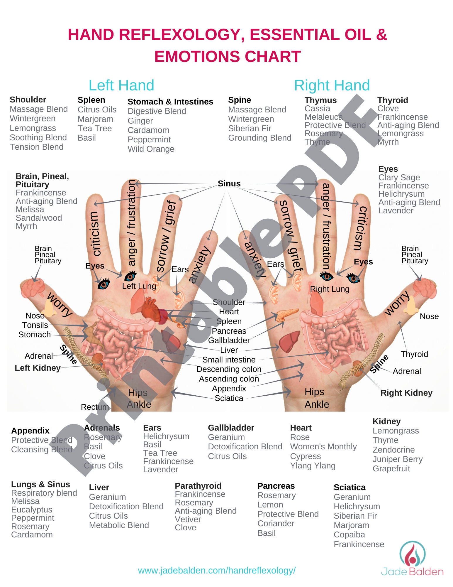 Hand Reflexology Chart PDF Printable Etsy