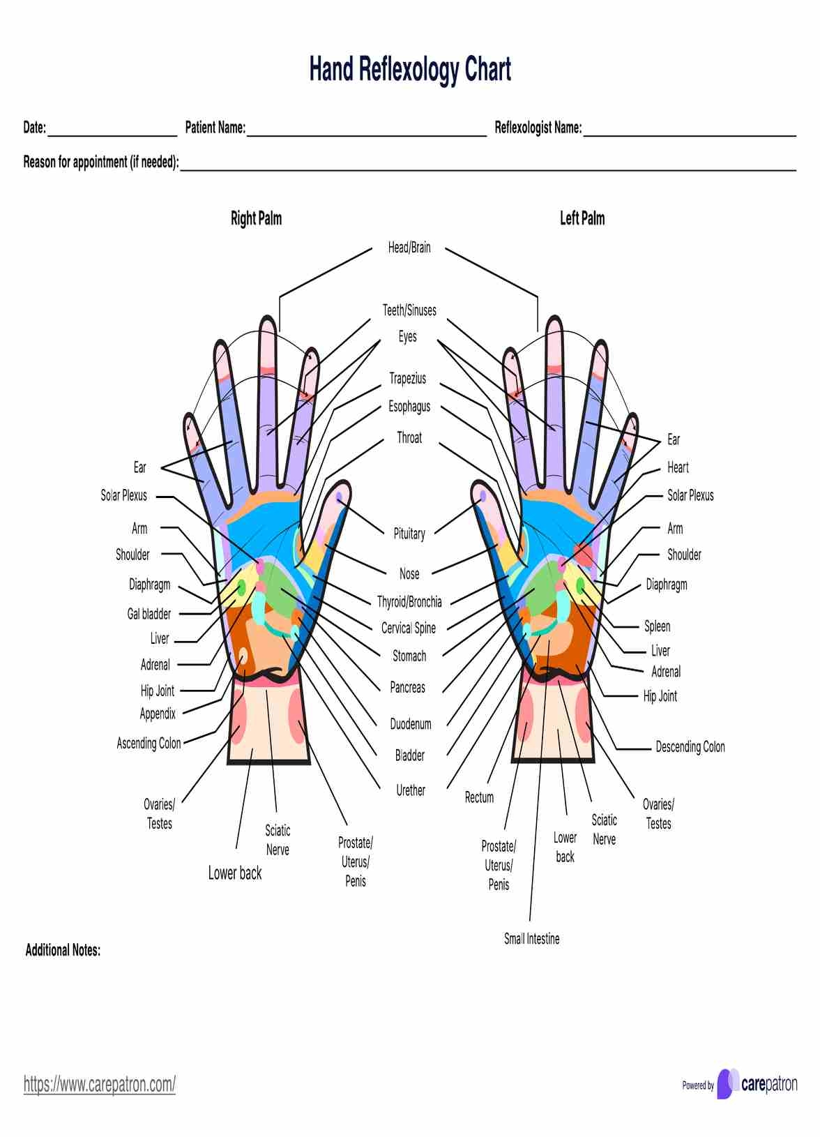 Printable Hand And Foot Reflexology Charts