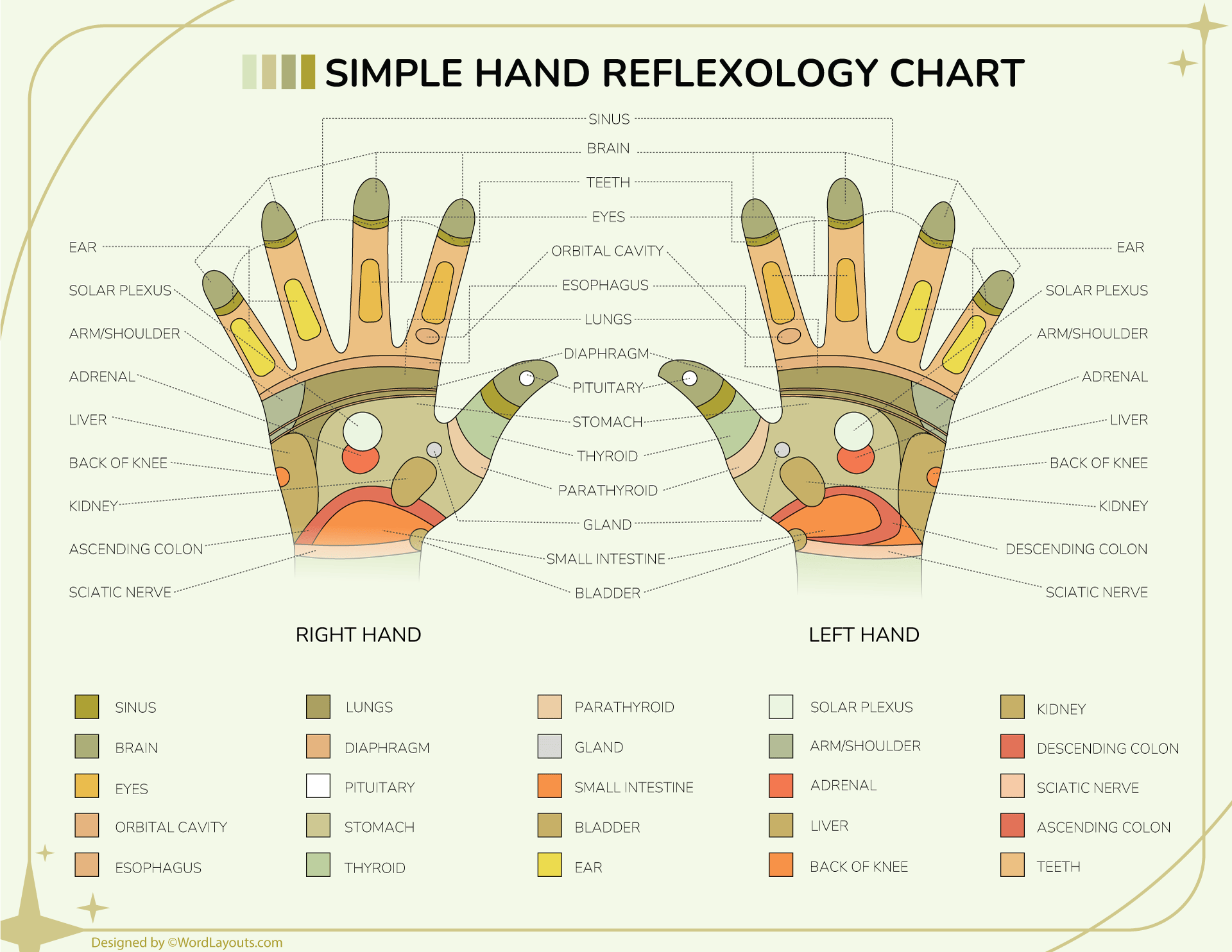 Hand Reflexology Points Map WordLayouts