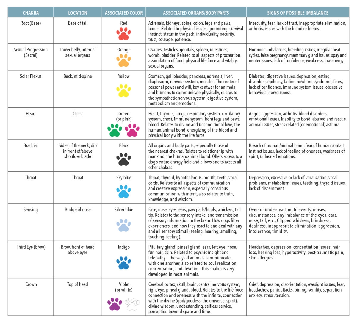 Healing And Balancing Your Dog s Chakras Animal Wellness Magazine