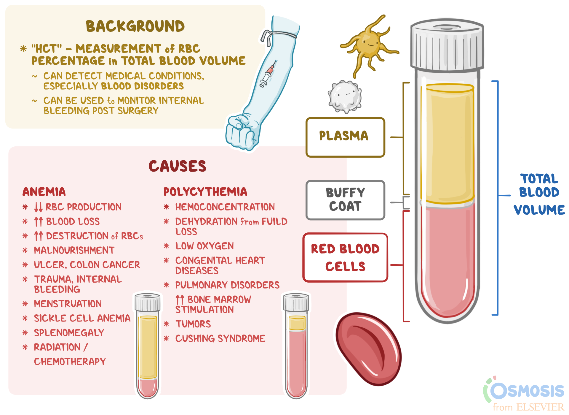 Hematocrit What Is It Importance And More Osmosis