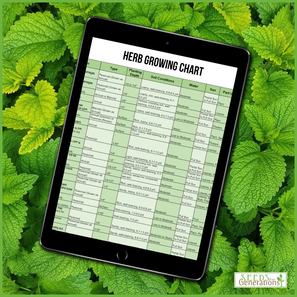 Herb Growing Chart