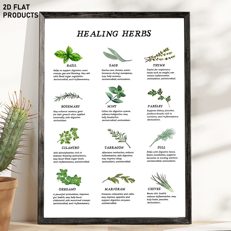Herb Knowledge Chart Sold On Temu United States