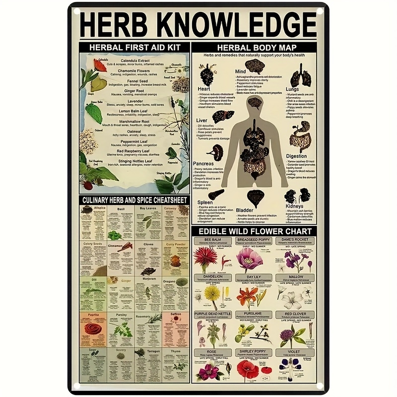 Herb Knowledge Chart Sold On Temu United States