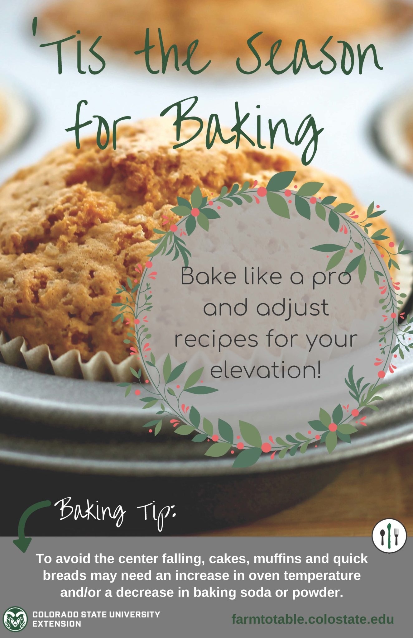 High altitude Baking CSU Offers Tips For Your Holiday Treats Colorado State University
