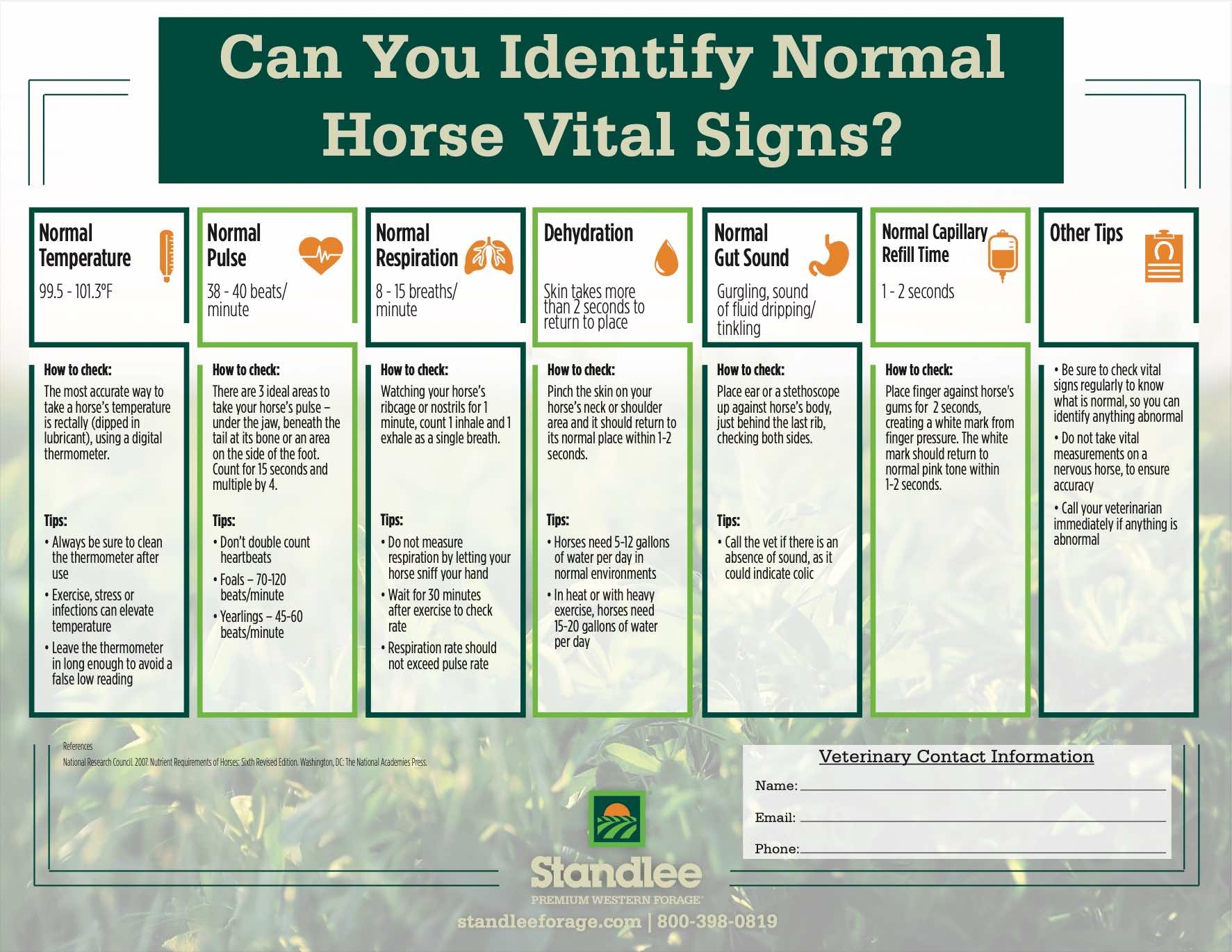 Horse Vital Signs Free Download The Backyard Horse Blog Horse Vital Signs Free Download The Backyard Horse Blog