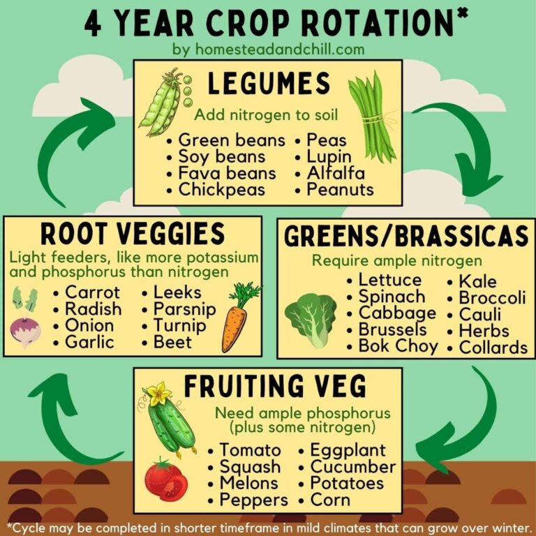 How To Practice Crop Rotation Garden Benefits Explained Homestead And Chill