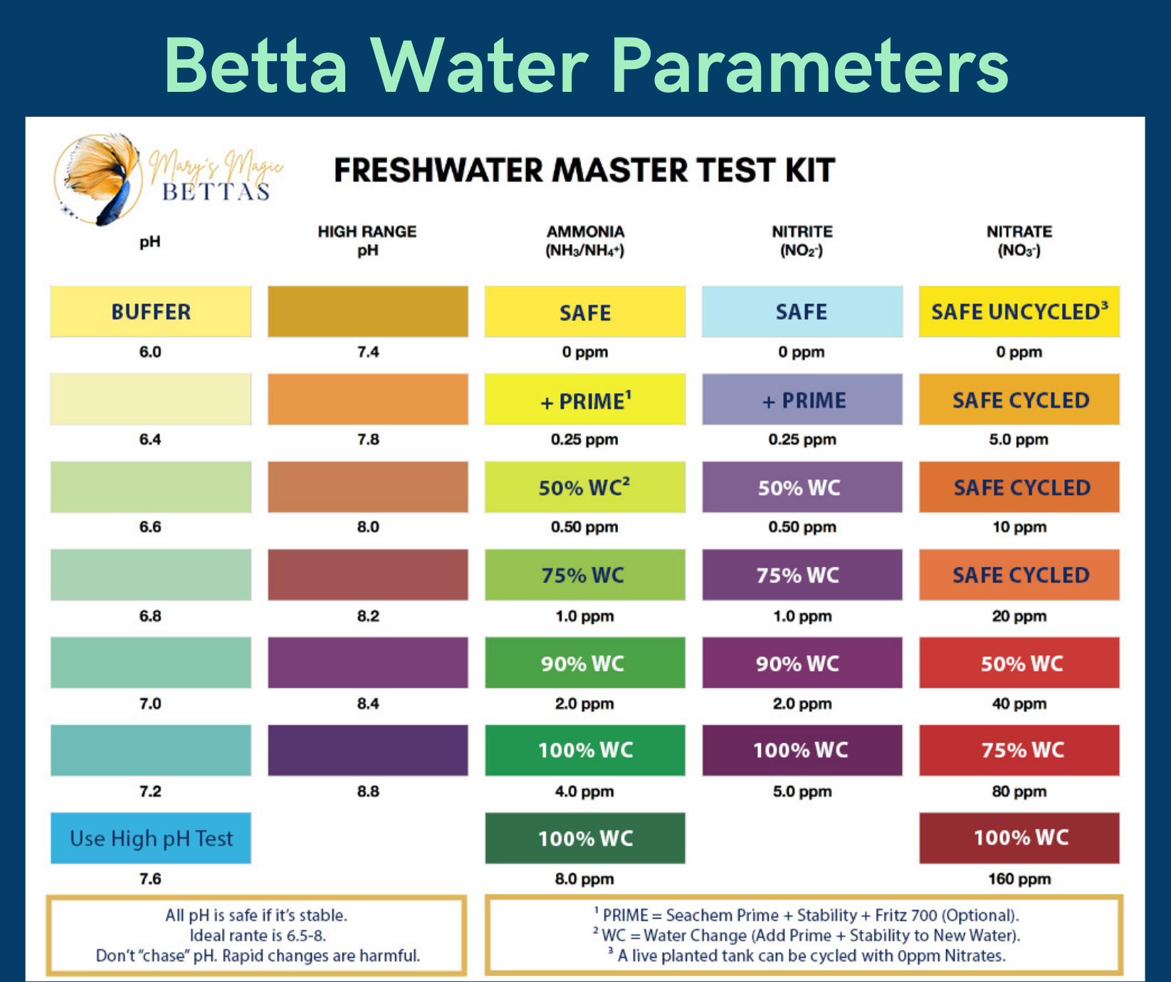 How To Safely Cycle A Fish Tank How To Safely Cycle A Fish Tank