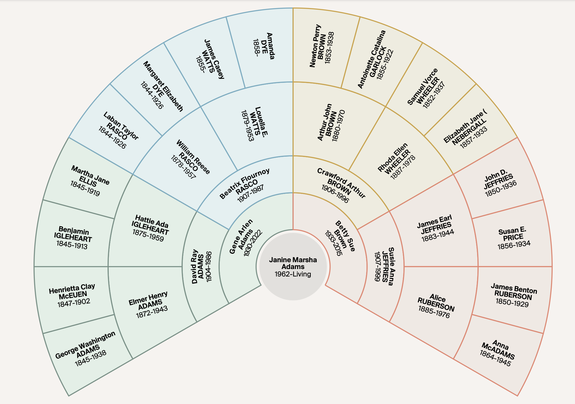 In Praise Of The Family Fan Chart Organize Your Family History