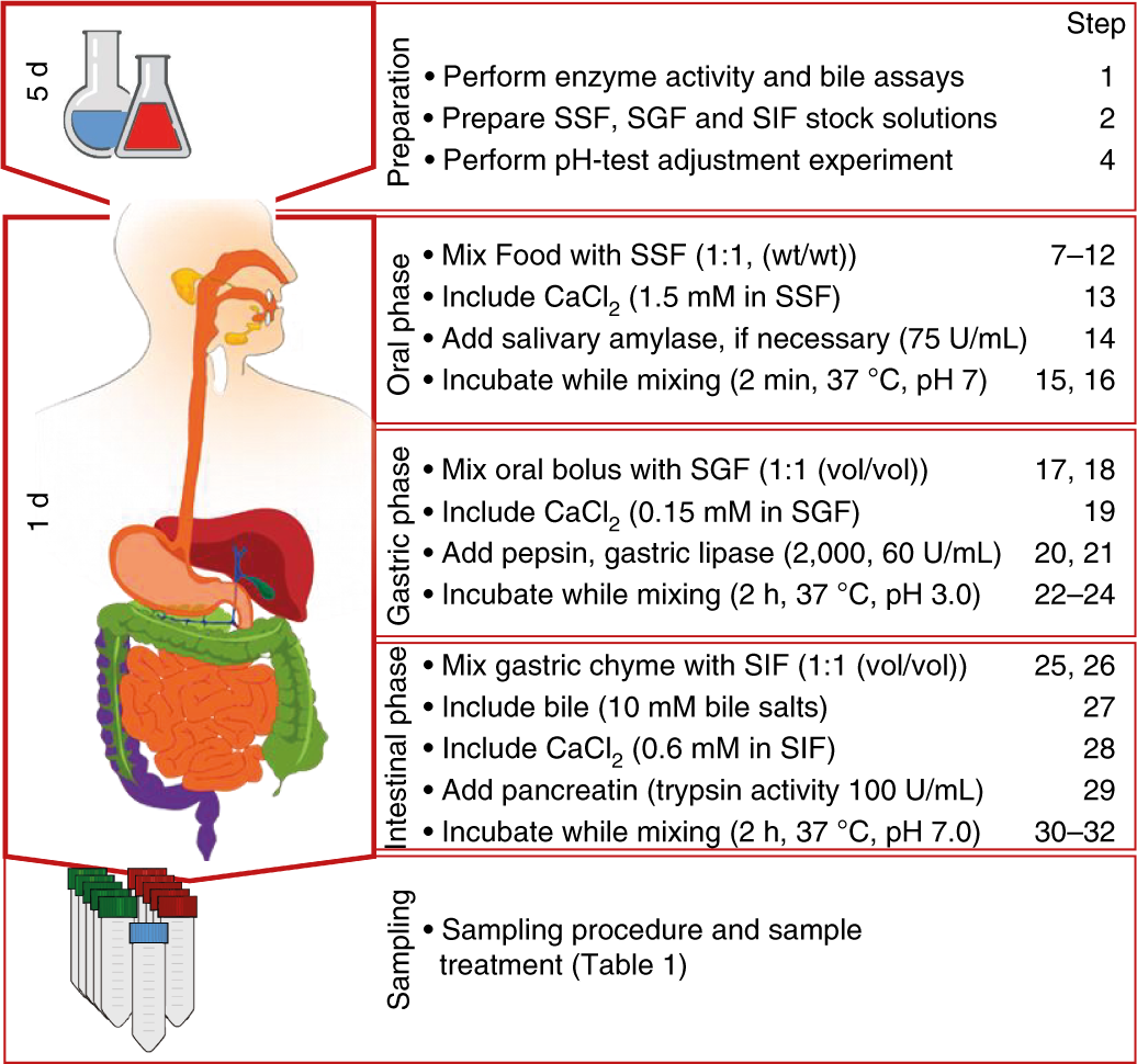 INFOGEST Static In Vitro Simulation Of Gastrointestinal Food Digestion Nature Protocols