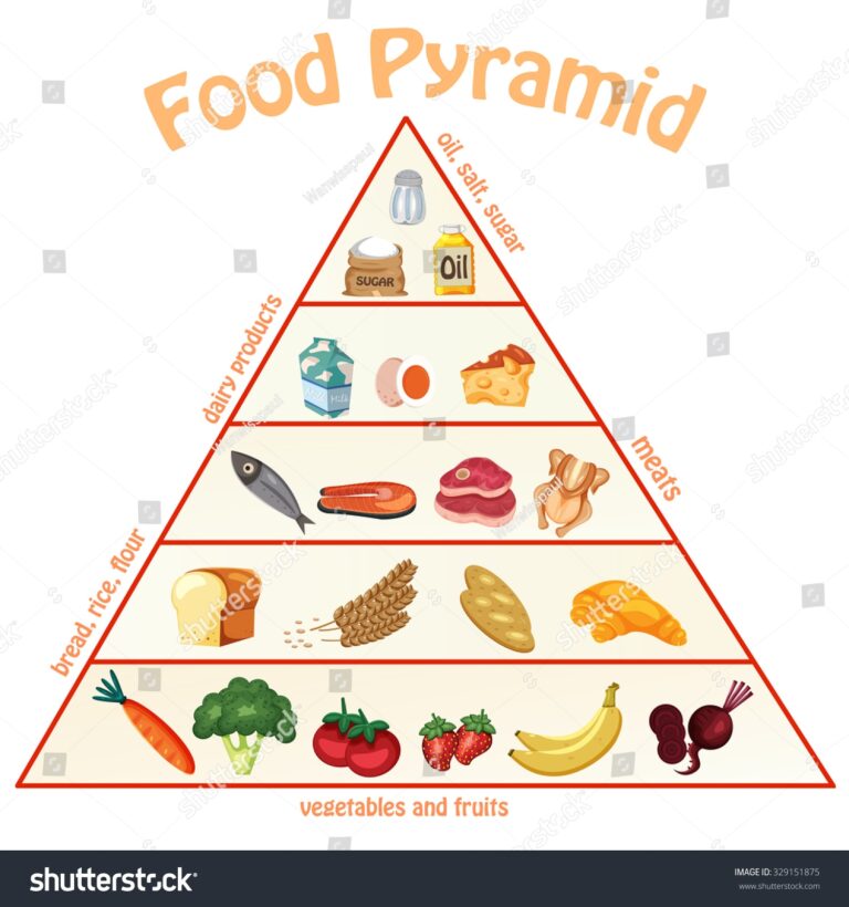 Infografiken Zu Food Pyramid Chart Illustration Stock Vektorgrafik Lizenzfrei 329151875 Shutterstock