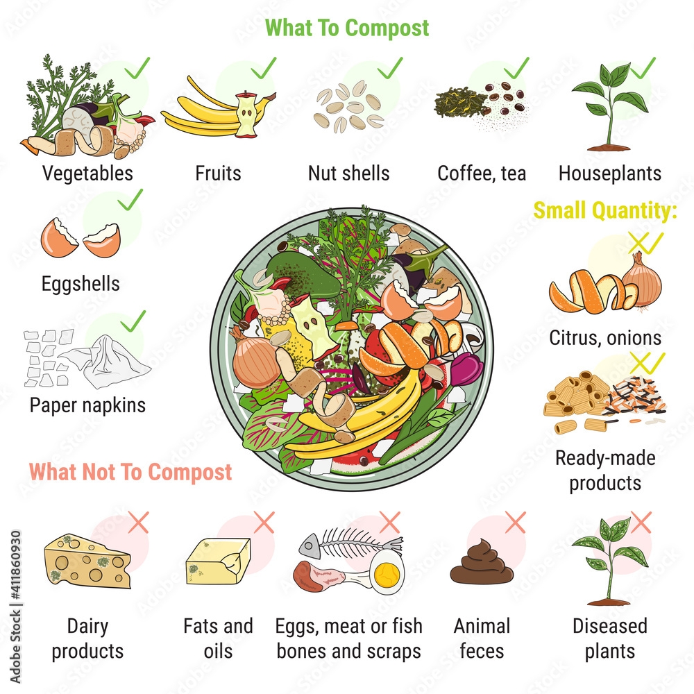 Infographic Of Composting Bin With Kitchen Scraps What To Or Not To Compost No Food Wasted Recycling Organic Waste Compost Sustainable Living Zero Waste Concept Stock Vector Adobe Stock