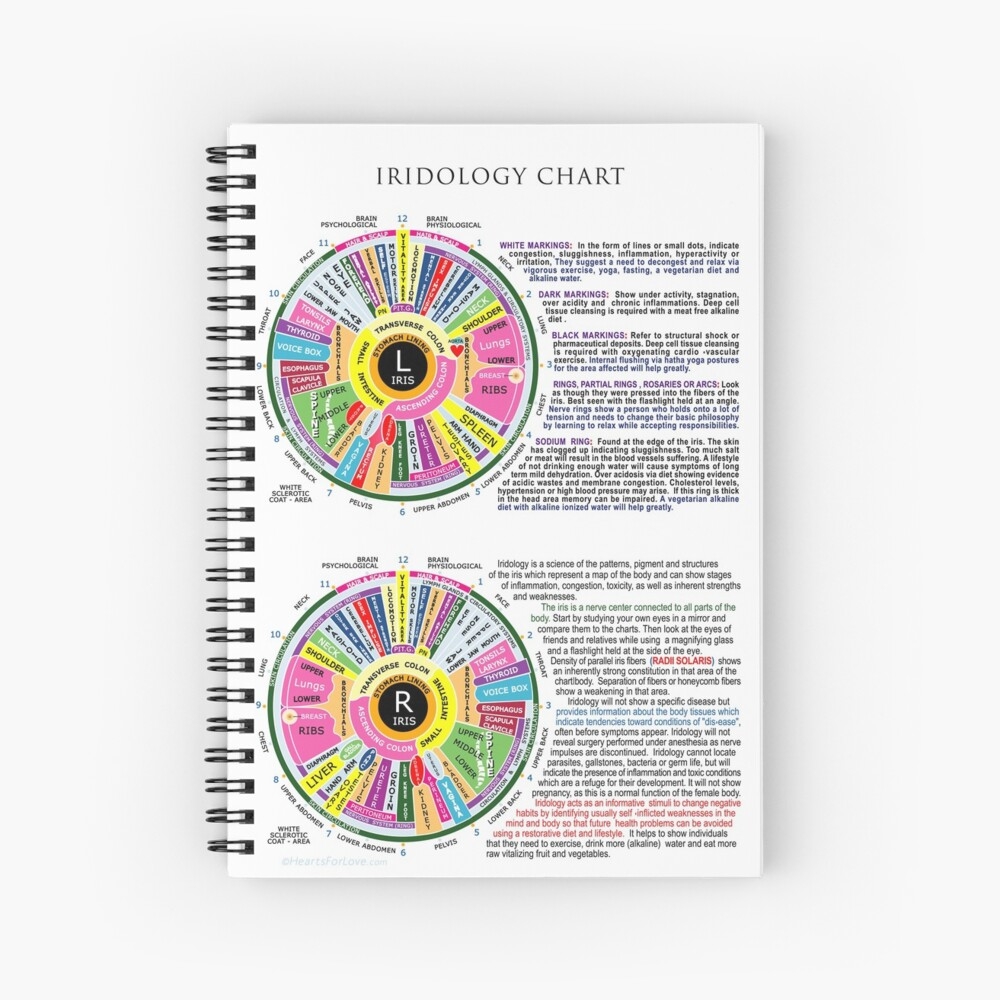 Iridology Chart For Complementary Diagnosis Via The Eyes Journal For Sale By Heartsforlove Redbubble