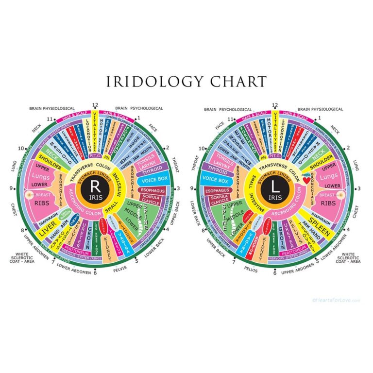 Iridology Chart Up To 20 X 30 Inches Professional Quality Print Etsy UK