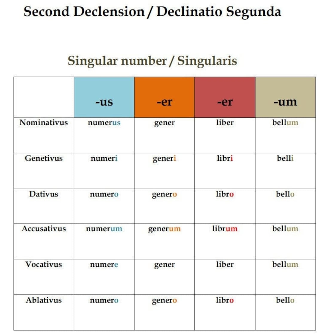 Latin Noun Declension Chart Grammar Classroom Poster digital Download Etsy