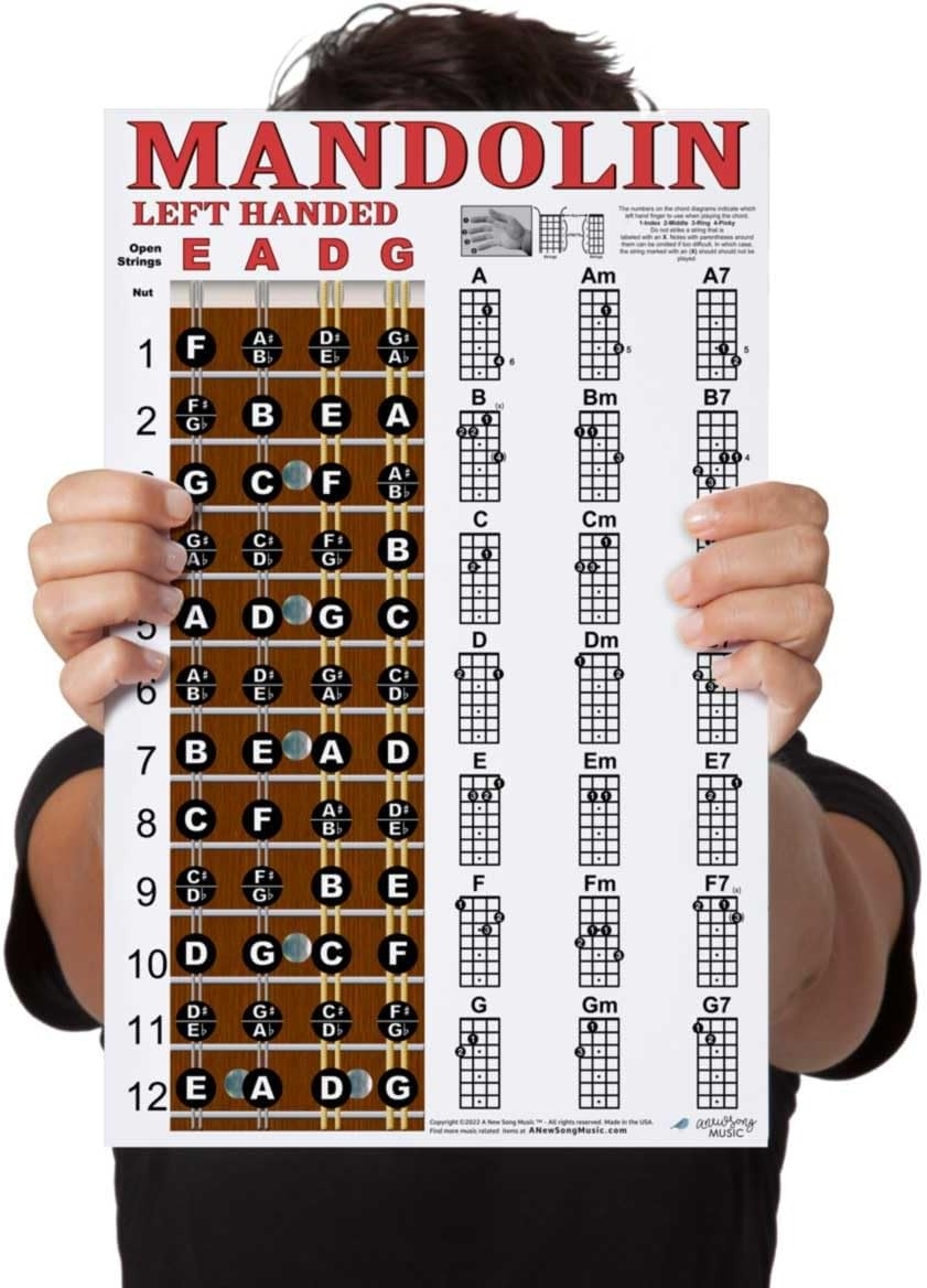 Printable Mandolin Chord Chart