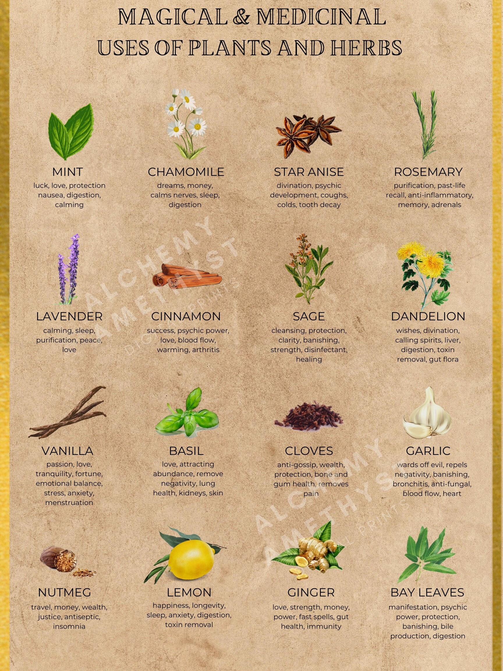 Magical Medicinal Uses Of Plants And Herbs printable Digital Download JPEG PDF Etsy
