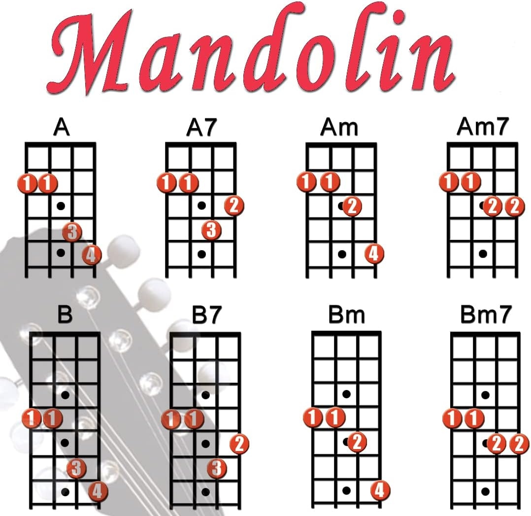 Mandolin Chord Chart Poster Laminated Quick Reference Guide For Beginners 8 5x11 Guitar Progressions Classics Vol 1 3