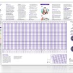 Medi Peak Flow Instructions For Use Standard Range Medicareplus