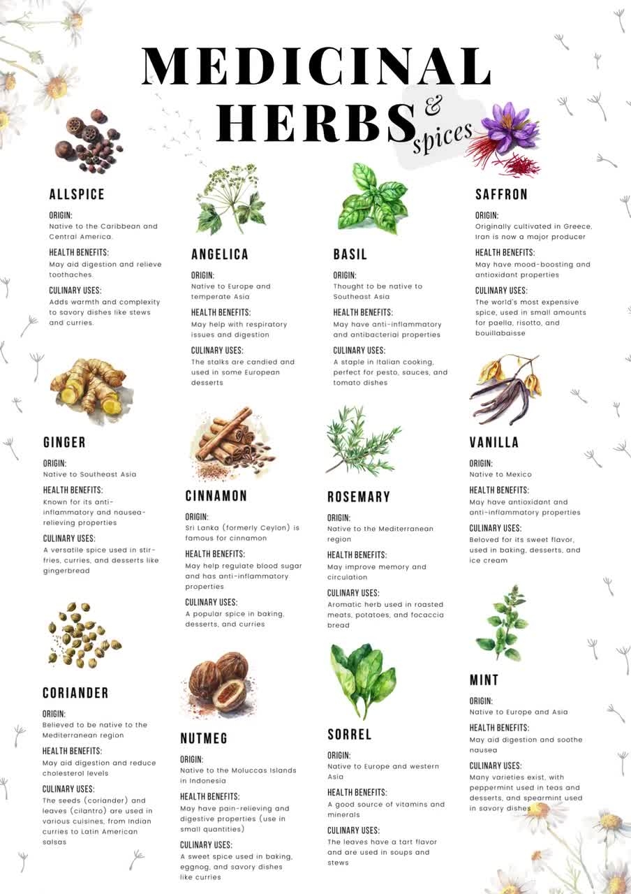 Medicinal Herbs Poster Spice Guide Herb Chart Kitchen Decor culinary Herbs Spices health Benefits cooking With Herbs gift For Health Nut Etsy