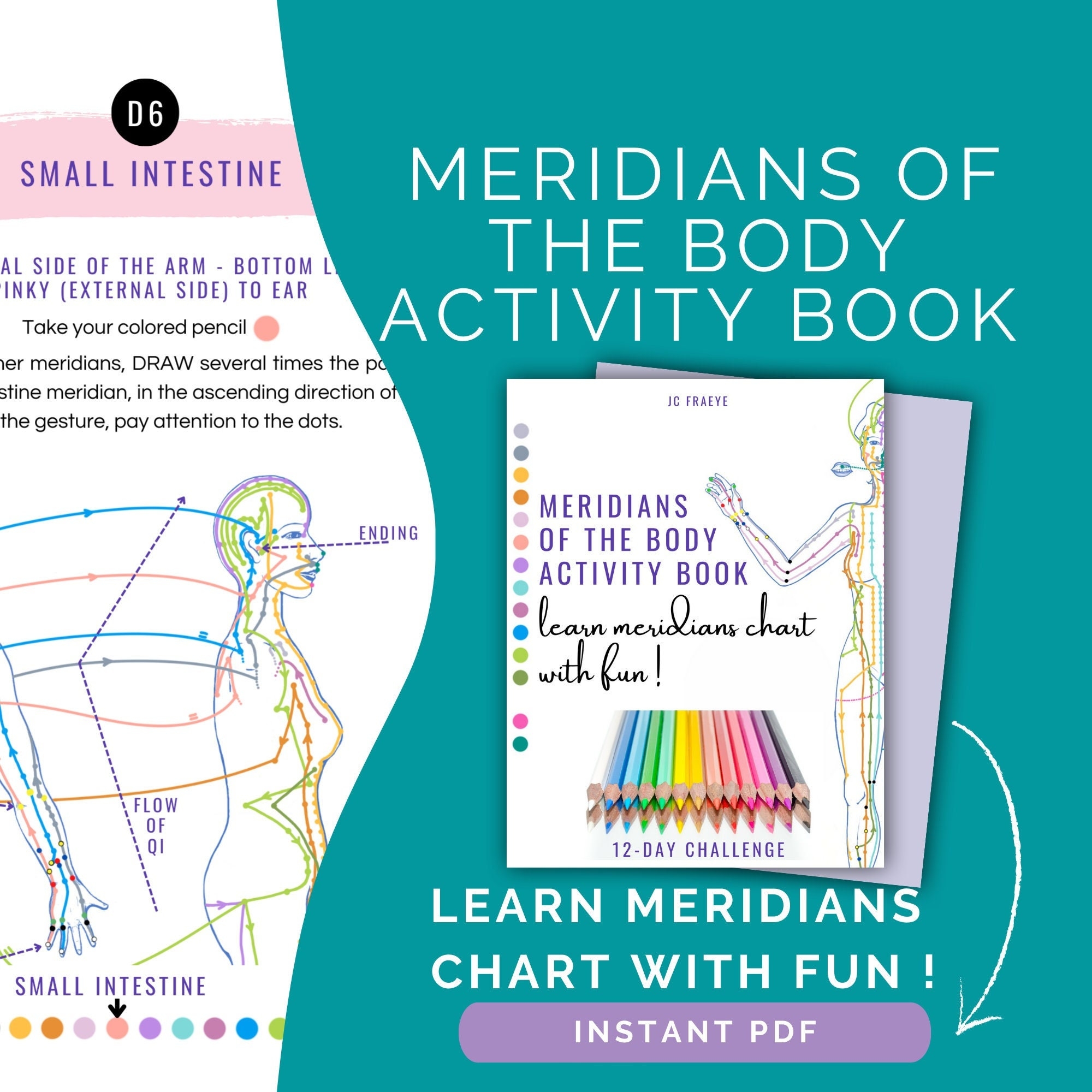 Meridians Of The Body Activity Book Learn Meridians Chart With Fun 12 D Challenge For Beginners Chinese Medicine PDF 97 P Etsy
