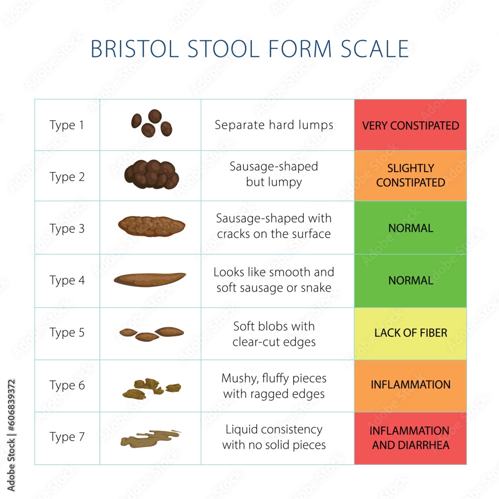 Nrsng Scrubcheats Free Printable Bristol Stool Chart Guide Easy Printables For Everyone Wallet Medical Card