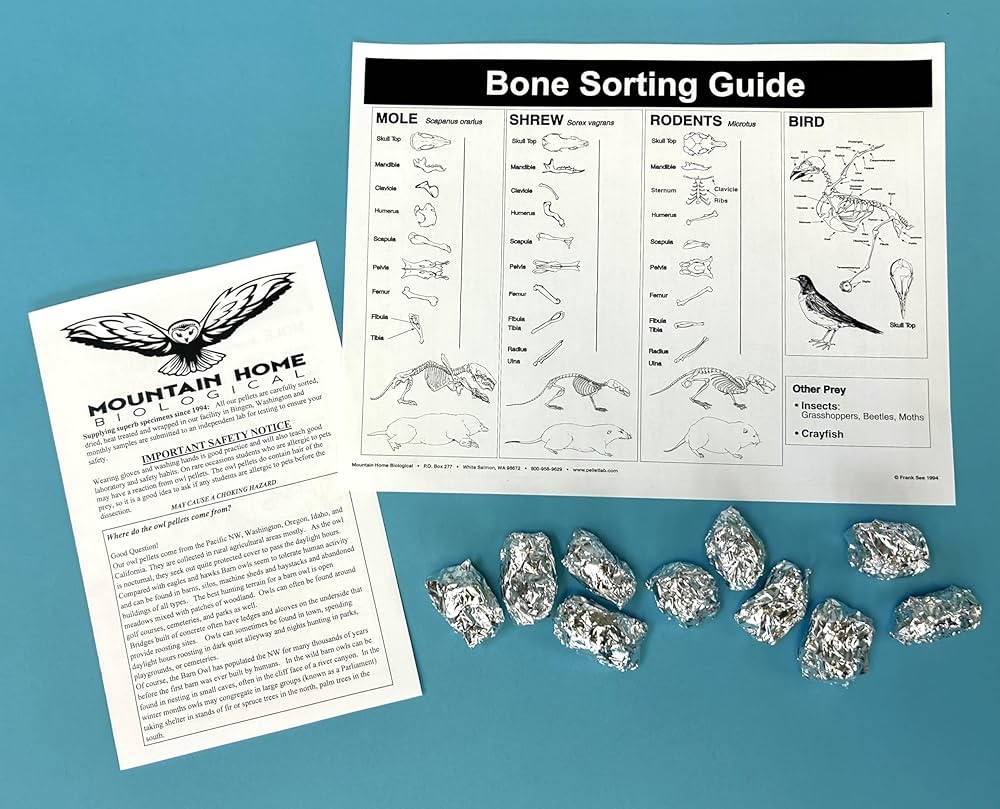 Owl Pellets Set Of 10 With Bone Chart Amazon Industrial Scientific Owl Pellets Set Of 10 With Bone Chart Amazon Industrial Scientific