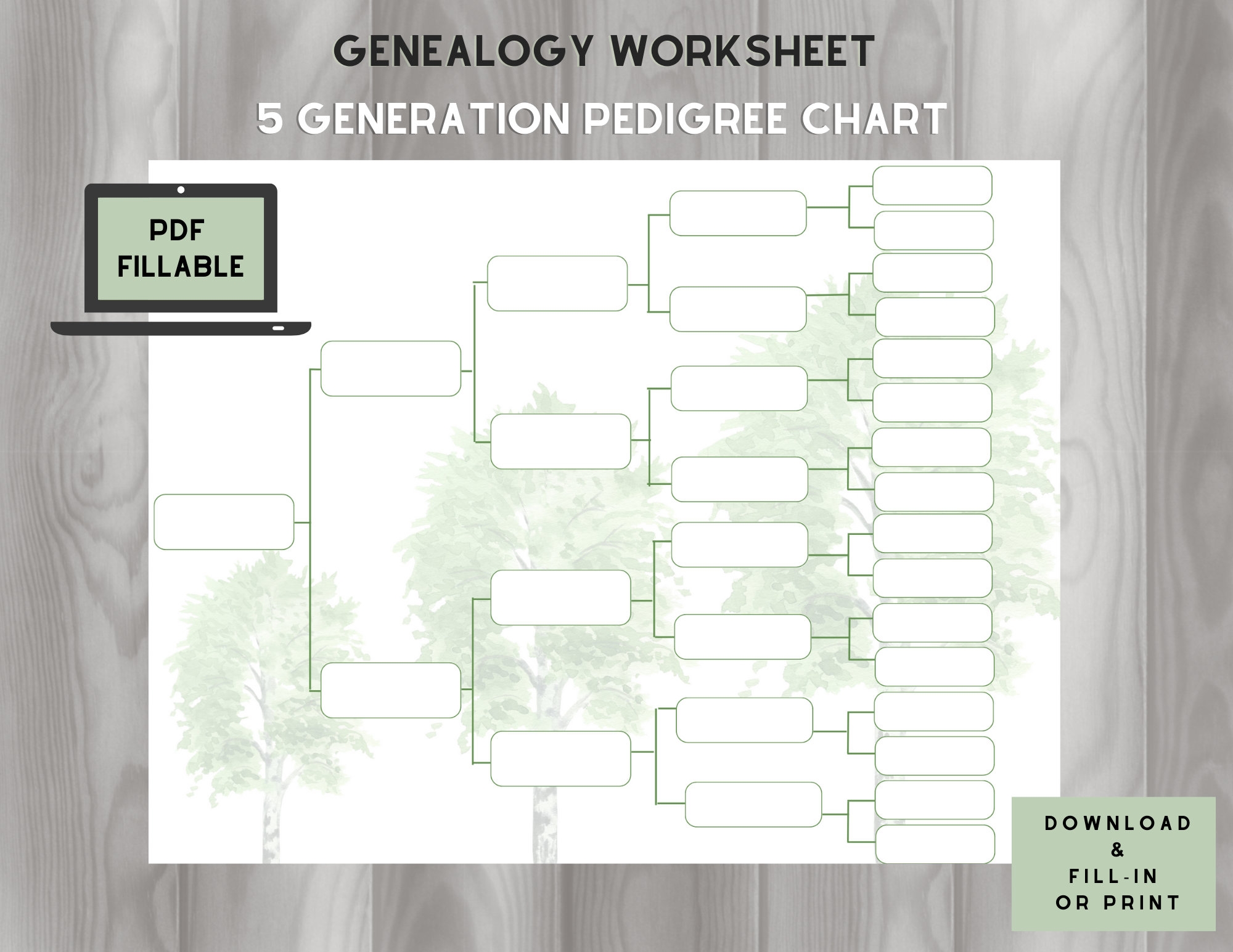 Paper Sizes Chart 15 Generation Pedigree Chart Scrapbook Your Family Tree Family Tree Chart