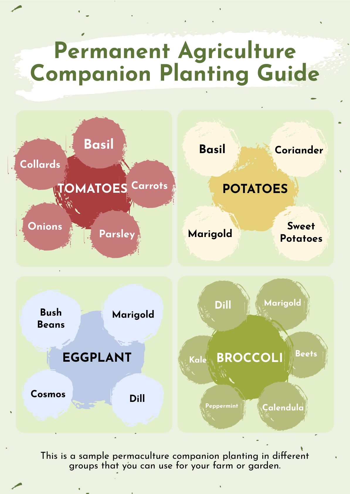 Permaculture Companion Planting Chart In PDF Illustrator Download Template