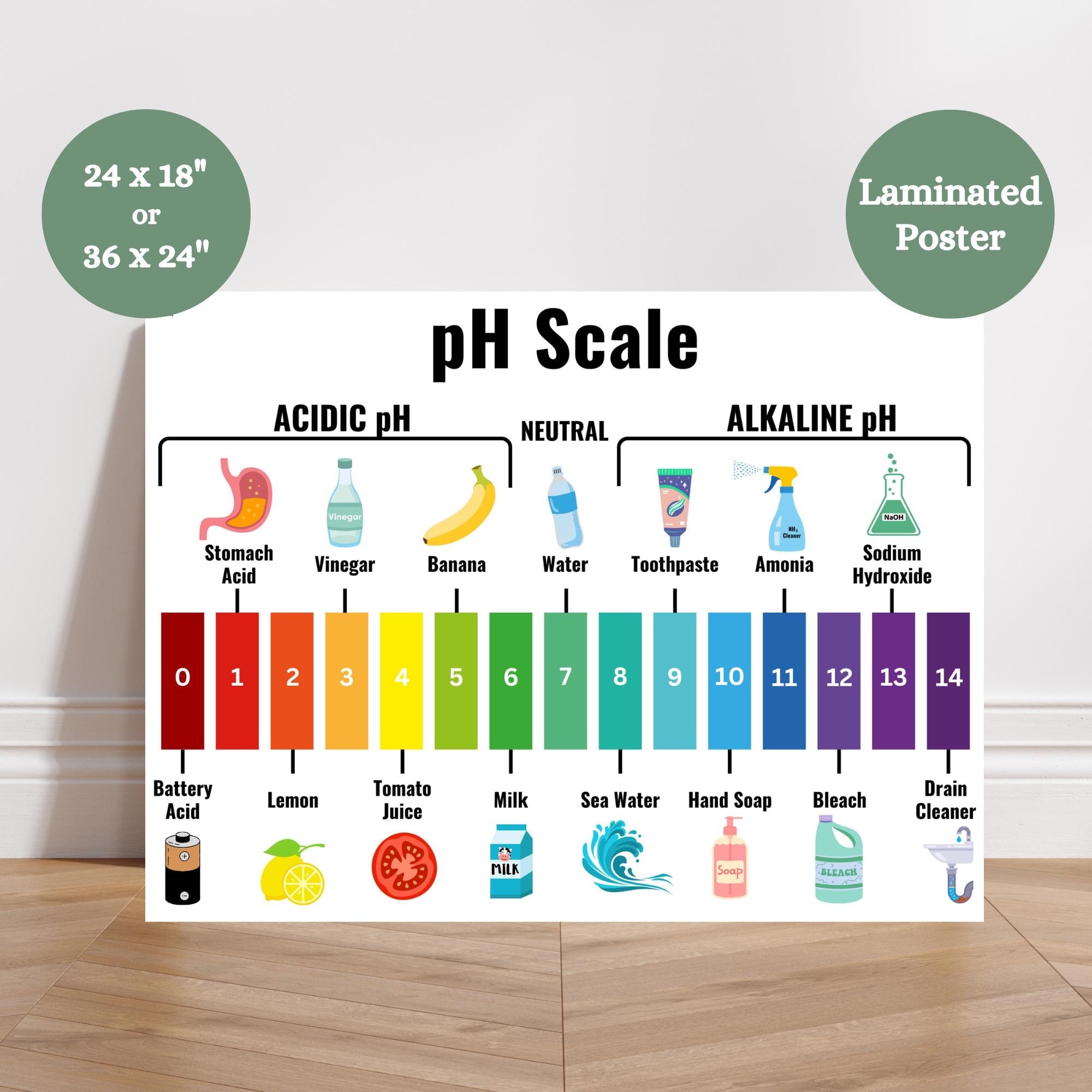 Ph Scale Anchor Chart Acid Alkaline Ph Poster Chemistry Classroom Anchor Chart Acidic Basic Ph Scale Anchor Chart Science Anchor Chart Etsy