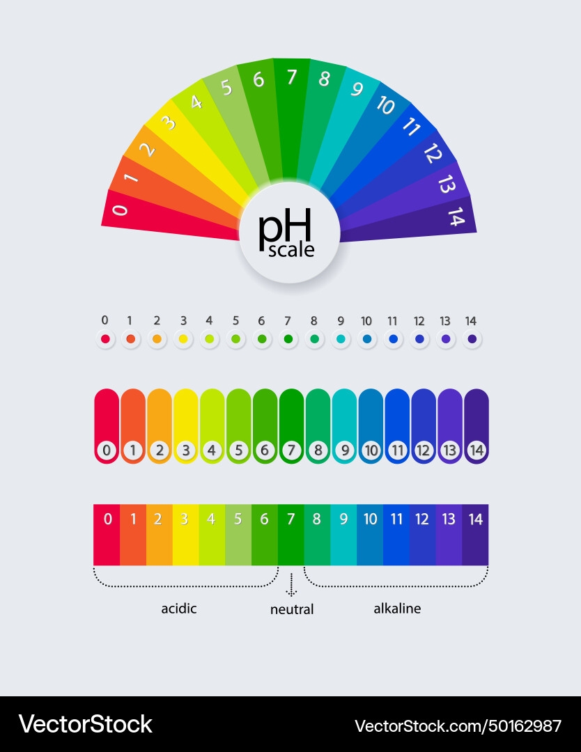 PH Scale Chart Acid Alkaline Royalty Free Vector VectorStock