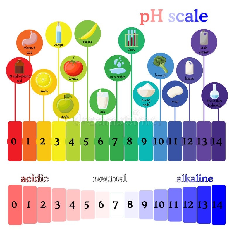 Ph Scale Chart Printable