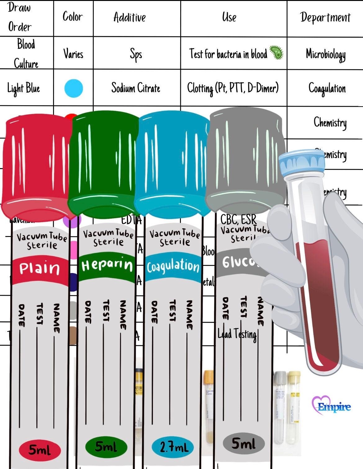 Phlebotomy Order Of Draw Study Sheet Etsy Phlebotomy Order Of Draw Study Sheet Etsy