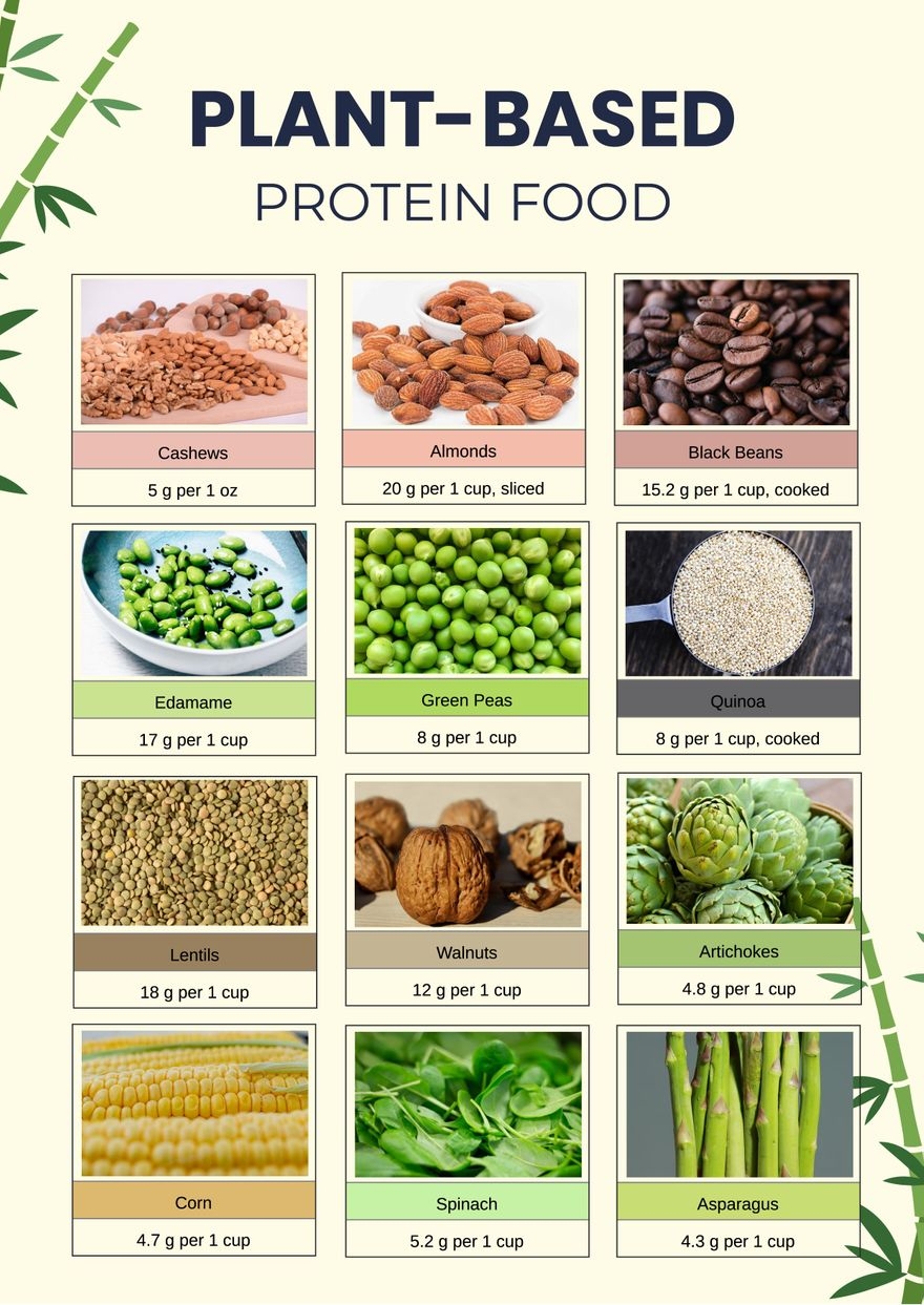 Plant Based Protein Food Chart In Illustrator PDF Download Template Plant Based Protein Food Chart In Illustrator PDF Download Template