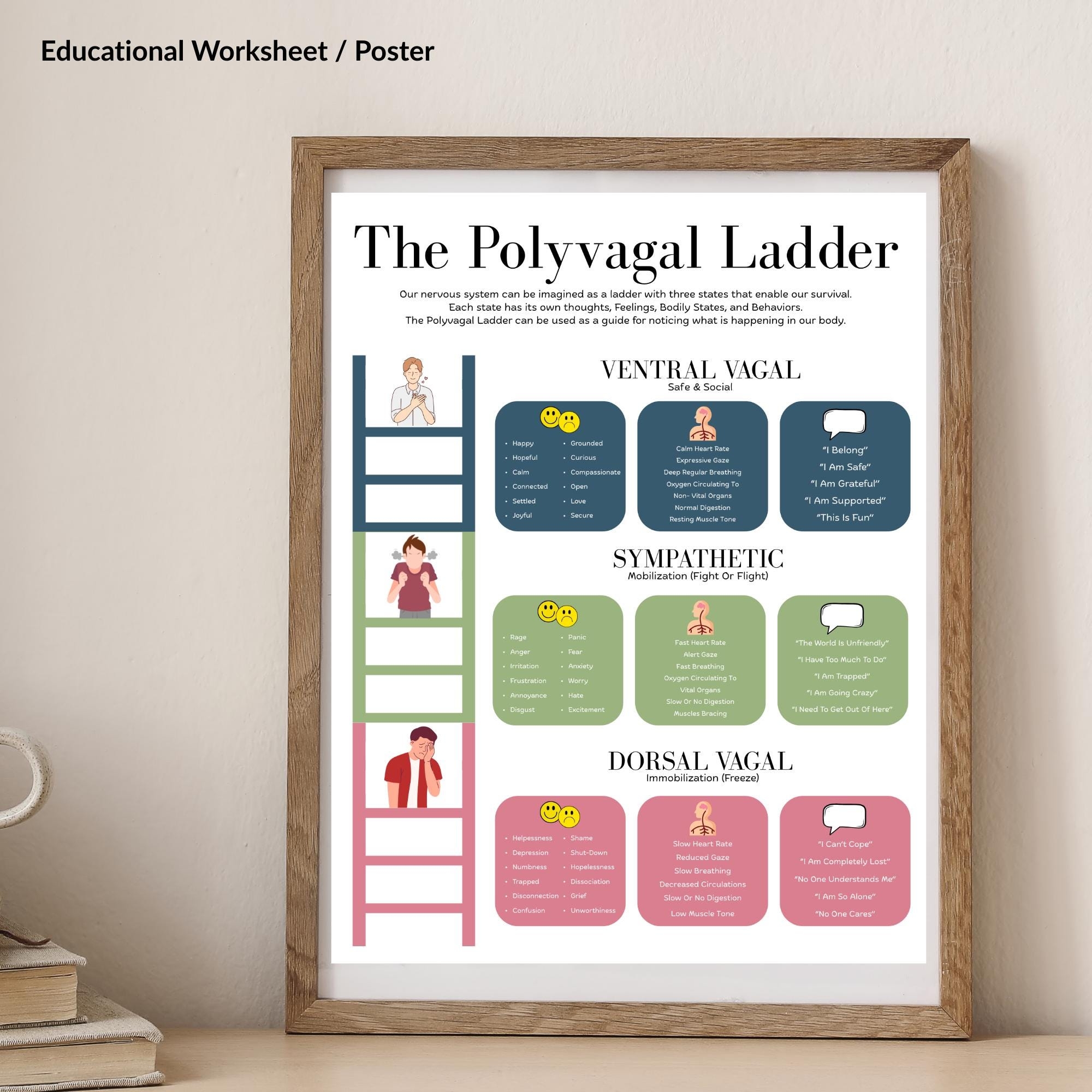 Polyvagal Chart Etsy Polyvagal Chart Etsy