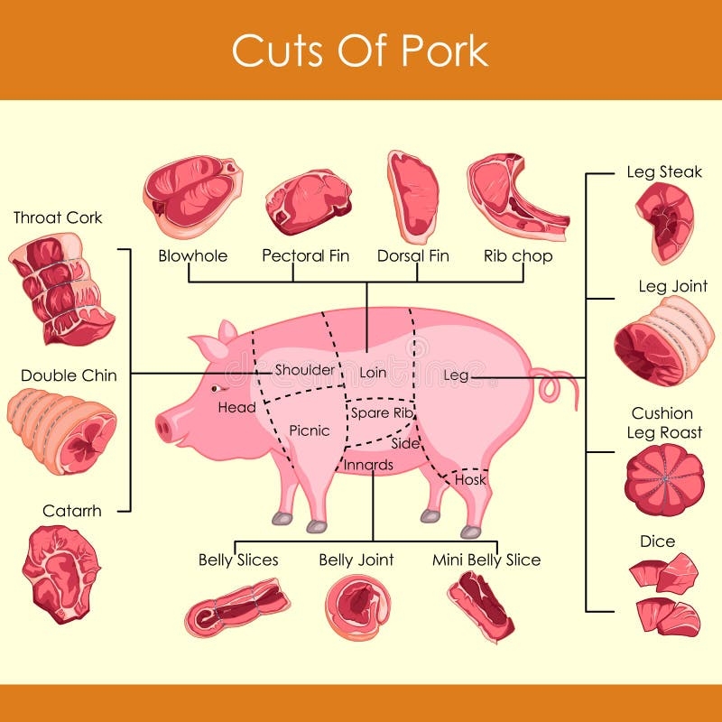 Pork Cuts Stock Illustrations 1 230 Pork Cuts Stock Illustrations Vectors Clipart Dreamstime Pork Cuts Stock Illustrations 1 230 Pork Cuts Stock Illustrations Vectors Clipart Dreamstime