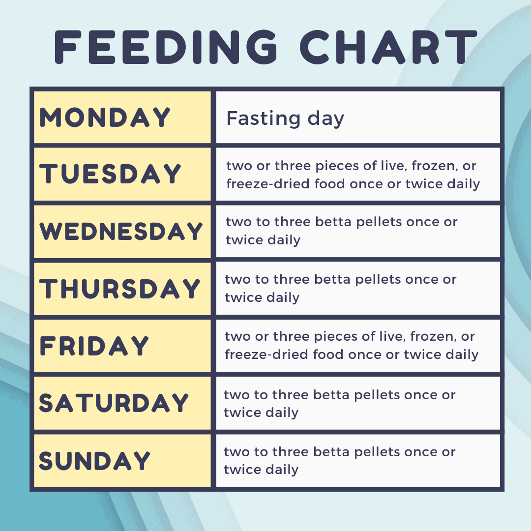 Printable Fish Feeding Chart